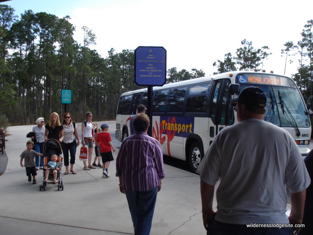 Animal Kingdom Bus Stop